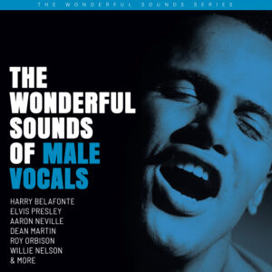 Various Artists - The Wonderful Sounds Of Male Vocals